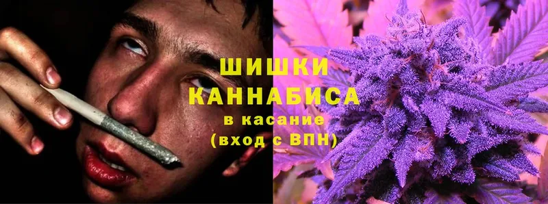 Канабис планчик  blacksprut ТОР  Берёзовский 